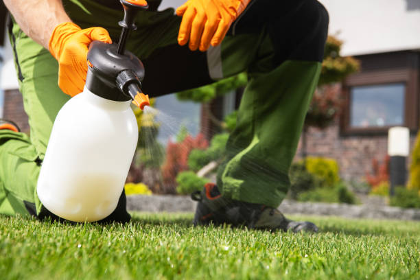 Best Cockroach Control Services  in Royston, GA