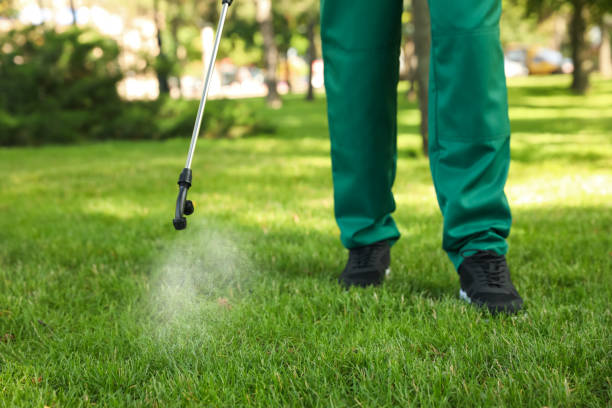 Best Residential Pest Control  in Royston, GA