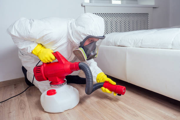 Best Local Pest Control Services  in Royston, GA