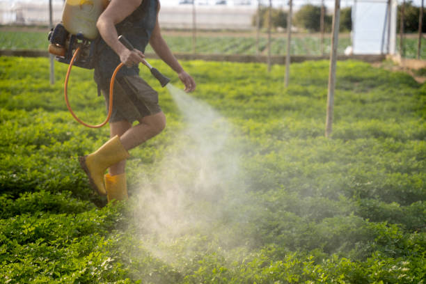 Best Pest Control for Businesses  in Royston, GA