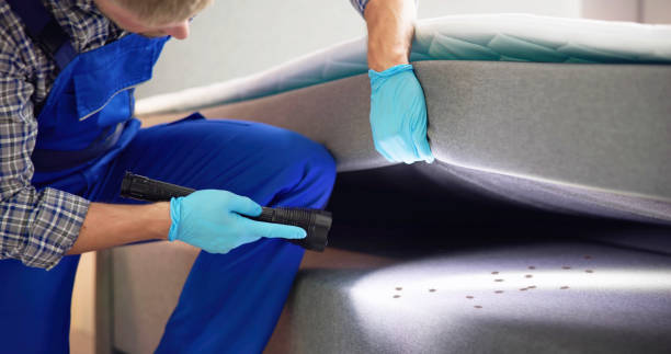 Best Ant Control Services  in Royston, GA