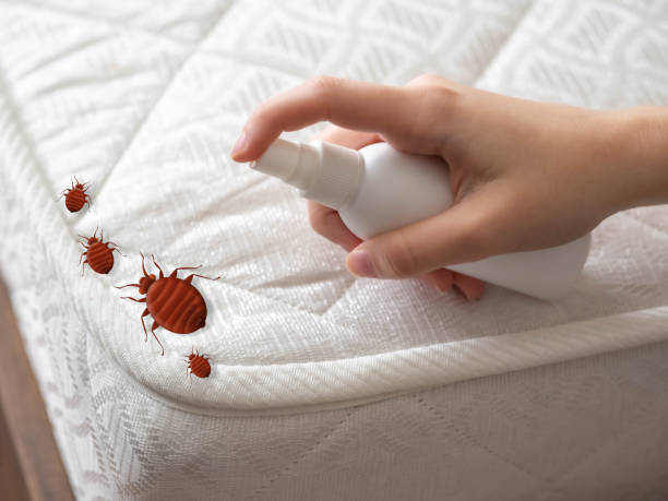 Best Exterminator Services  in Royston, GA