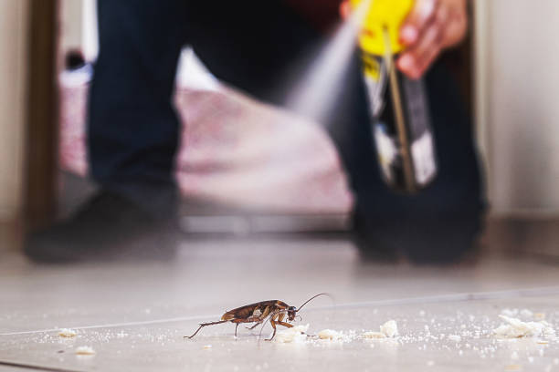 Best Pest Prevention Services  in Royston, GA